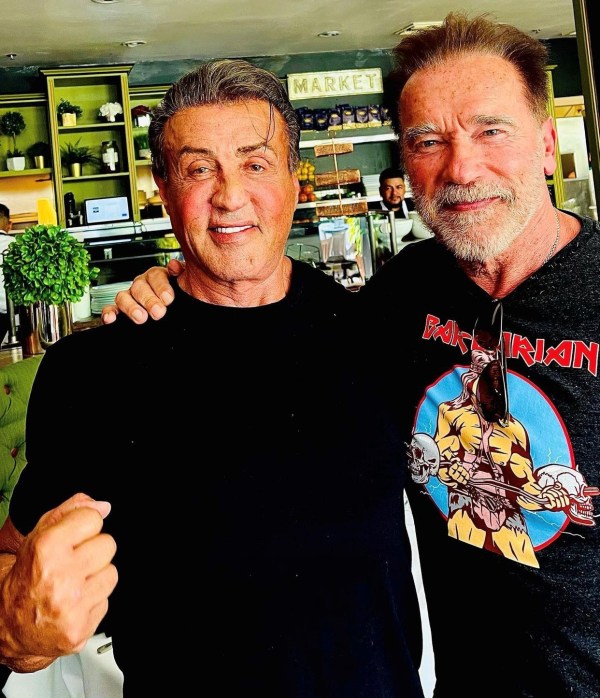 sylvester stallone, arnold schwarzenegger, film, novinka